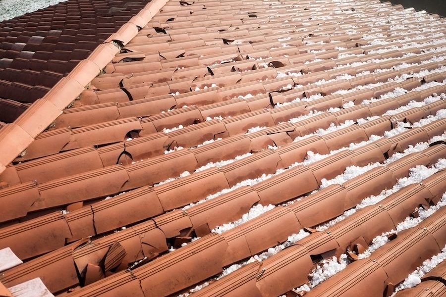 Hail damage bruising and granule loss on an Indianapolis asphalt shingle roof