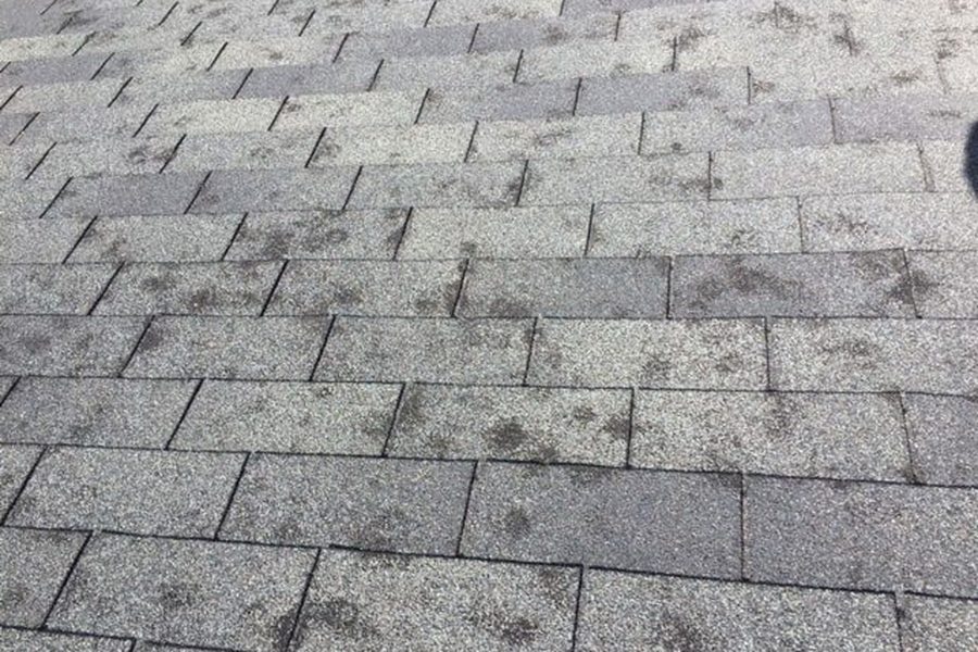 Hail dented shingle field on an Indianapolis area roof