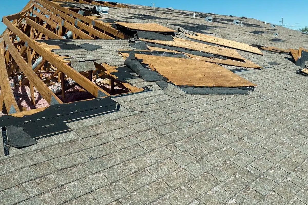 Damaged plywood roof decking and trusses exposed during an Indianapolis roof replacement